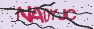 Captcha認証コード