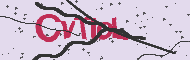Captcha認証コード