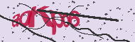 Captcha認証コード